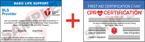 Sample American Heart Association AHA BLS CPR Card Certification and First Aid Certification Card from CPR Certification Charlotte