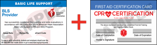 basic cpr written test