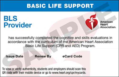 Sample American Heart Association AHA BLS CPR Card Certification from CPR Certification Charlotte